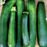 SP-7 All Season Seeds Package 6 Items Intact Pack - 0.1gm image