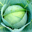 SP-7 All Season Seeds Package 6 Items Intact Pack - 0.1gm image