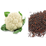 SP-7 All Season Seeds Package 6 Items Intact Pack - 0.1gm image