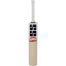 SS Master Kashmir Willow Cricket Bat image