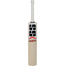 SS Master Kashmir Willow Cricket Bat image