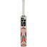 SS Master Kashmir Willow Cricket Bat image