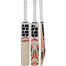 SS Master Kashmir Willow Cricket Bat image