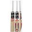 SS Master Kashmir Willow Cricket Bat Short Handle image