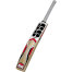 SS Master Kashmir Willow Cricket Bat Short Handle image