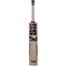 SS Ton Gladiator Cricket Bat English Willow image