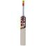 SS Ton Player Edition English Willow Cricket Bat image