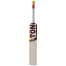 SS Ton Player Edition English Willow Cricket Bat image