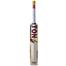 SS Ton Player Edition English Willow Cricket Bat image