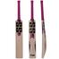 SS Ton Power Play English Willow Cricket Bat image