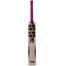 SS Ton Power Play English Willow Cricket Bat image