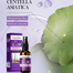 Sadoer Lavender Essence Anti Hair Grow Serum Spray - 30 ml image