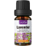 Sadoer Lavender Essential Oil Pure Therapeutic Grade - 10ml image