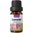 Sadoer Rose Multipurpose Plant Essential Oil Moisturizing Skin Rejuvenation Lock Water-10ml image