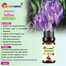 Saffron (Jafran) Essential oil -10ml image