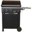 Savor Pro GD4210S Gas Grill image