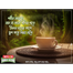 Seylon Gold Blend Tea Bag 100 gm image