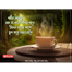 Seylon Instant Milk Tea 3in1 (10X15g) 150 gm image