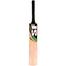 Sf Kashmir Willow Impact Cricket Bat image