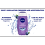 Shower Gel Power Fruit 250gm image