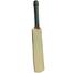 Signature/Autobiography Cricket Bat - 13inch image