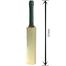 Signature/Autobiography Cricket Bat - 13inch image