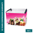 Singer Display Freezer 164 Ltr ICF-256A image