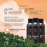 Skin Cafe Coconut Oil 100 ml image