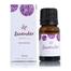 Skin Cafe Lavender Essential Oil - 10ml image