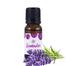 Skin Cafe Lavender Essential Oil - 10ml image