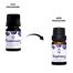 Skin Cafe Rosemary Essential Oil - 10ml image