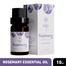Skin Cafe Rosemary Essential Oil - 10ml image