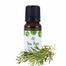 Skin Cafe Tea Tree Essential Oil 10ml image