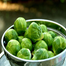 Small Cabbage, Brussels Sprouts image