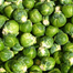 Small Cabbage, Brussels Sprouts image