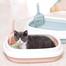 Small Litter Box with Free Scooper image