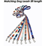 Small and Medium Breed Dog Collar and Leash Set image
