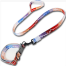 Small and Medium Breed Dog Collar and Leash Set image