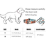 Small and Medium Breed Dog Collar and Leash Set image