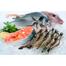 SmartHeart Cat Food–Tuna And Shrimp 1.2 Kg image