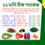 Sobuj Dhaka Garden All Season Seeds Combo 18 Items image
