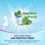 Sofy COOL Freshness Extra Long (XL) Slim Sanitary Napkin (290mm) - 15 Pcs image