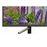 Sony KDL-49W800F/G Bravia Full HD Android Smart LED TV - 49 Inch image