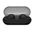 Sony WF-C500 Truly Wireless Headphones -Black image