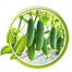 Special 12 Pata Sosha Dadagiri Intact Pack - 10gm image
