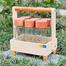 Spice Box Glass Jar with Wooden Lid image