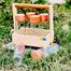 Spice Box Glass Jar with Wooden Lid image