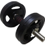 Sports And Fitness 10kg Weight Plate 2 Pcs image