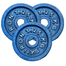 Sports And Fitness 1.25kg Dumbbell Plate 4 Pcs image