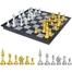 Sports And Fitness 12 inch / 30.48 cm Premium Quality Magnetic Chess Board image